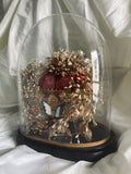 Globe de mariée // XIXème siècle